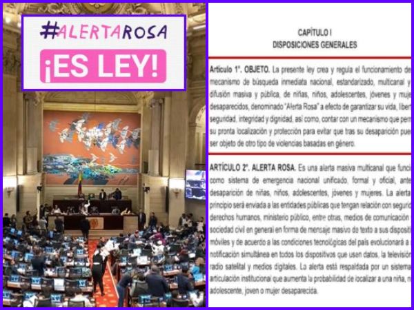 Alerta Rosa Ya Es Ley Proyecto Contra La Desaparicion De Mujeres Y Ninas.jpg