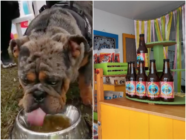 Cerveza Para Perros.jpg