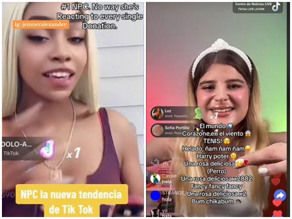 Que Ridiculos Solo Por Plata La Tendencia Npc Que Ha Tomado Fuerza En Tik Tok.jpg