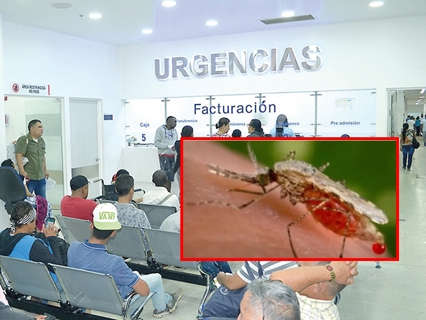 Malaria En Colombia.jpg