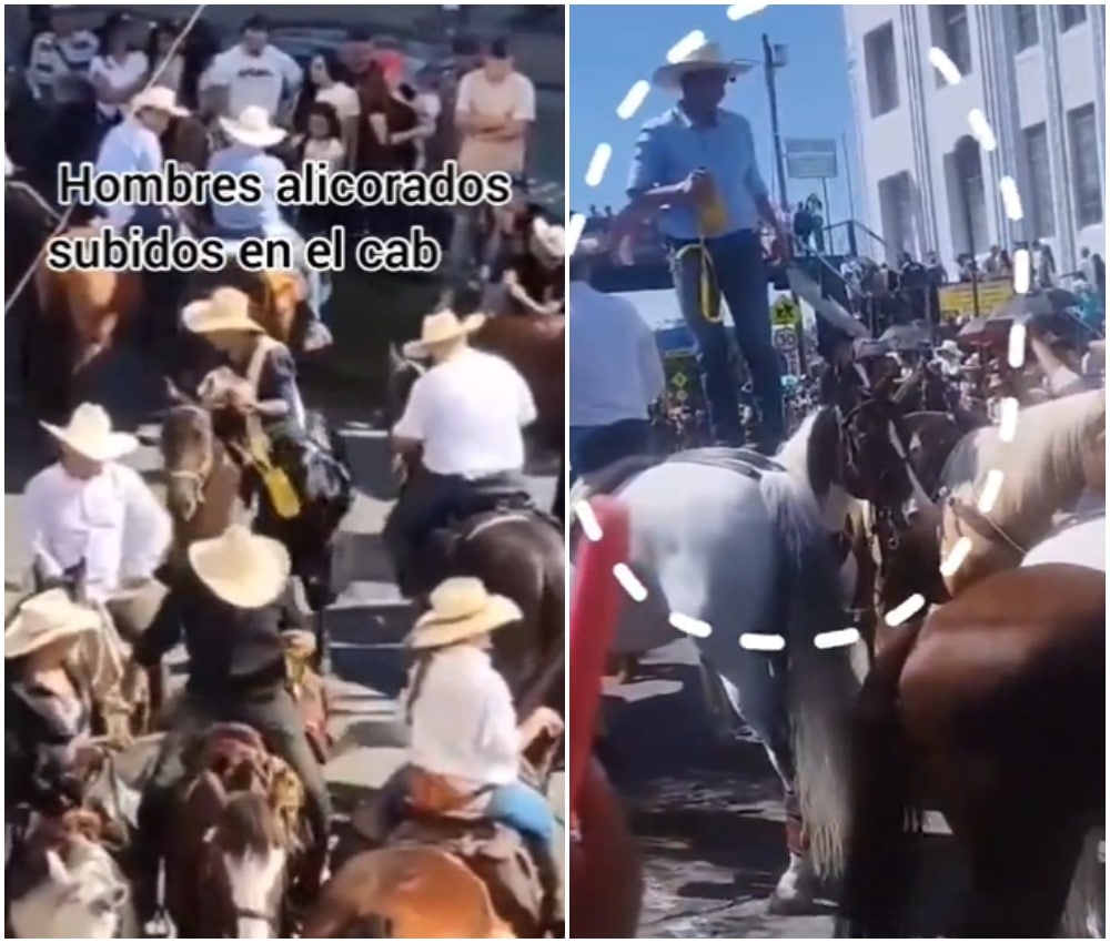 Cada Ano Es Lo Mismo Un Caballo Murio En Medio De La Cabalgata En La Feria De Manizales.jpg