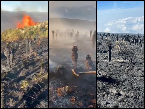 El Paramo De Berlin En Cenizas Mas De 170 Hectareas Consumidas.jpg