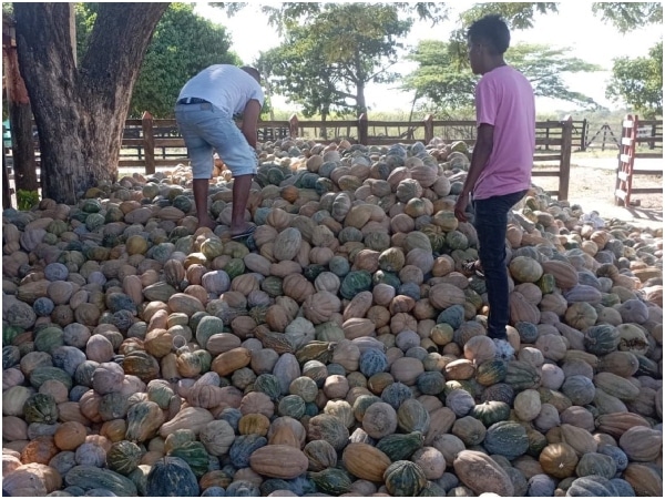 No Aguantamos Una Crisis Mas Agricultores Claman Por Intervencion Urgente Del Minagricultura.jpg