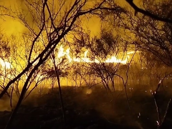 Incendio Forestal.jpg