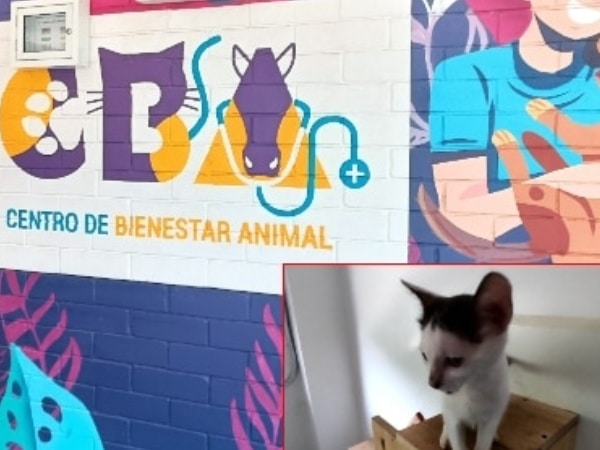 Centro De Bienestar Animal.jpg