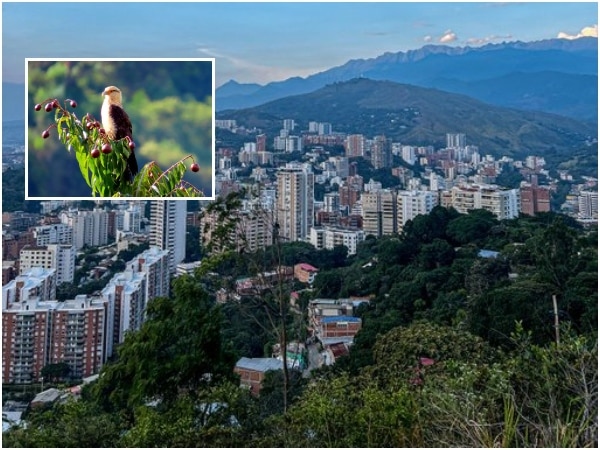 Cali Es Cali Y Lo Demas ‘biodiversidad.jpg