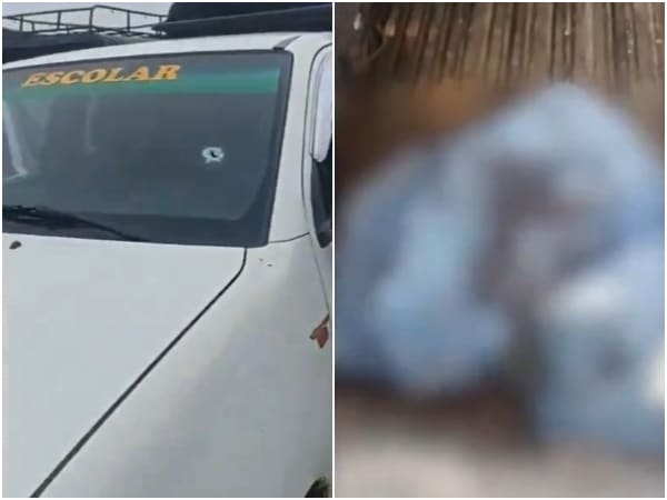 Las Disidencias De Las Farc Han Sido Senaladas Del Ataque A Un Bus Escolar En Piamonte Cauca.jpg