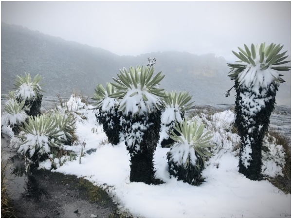 Nevado De El Cocuy Se Viste De Blanco En Plena Temporada De Calor.jpg