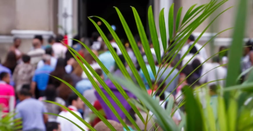 Domingo De Ramos Celebracion Y Significado Profundo.jpg