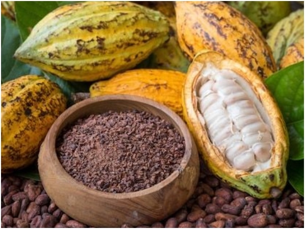El Cacao Colombiano Sigue Siendo Uno De Los Mejores.jpg